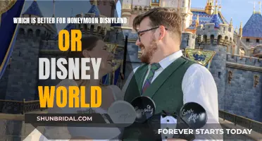 Honeymoon Magic: Disney World vs. Disneyland