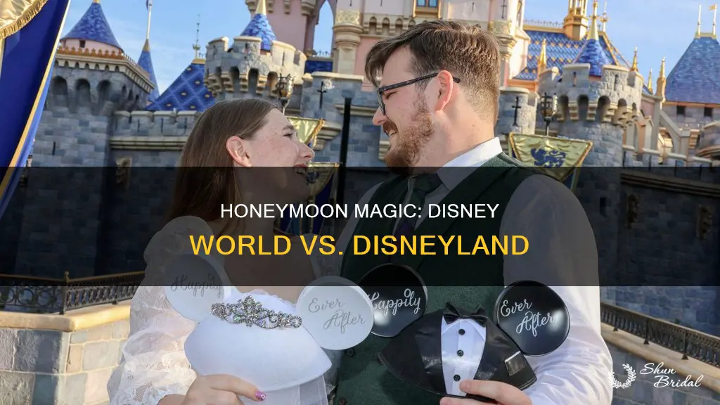 which is better for honeymoon disnyland or disney world
