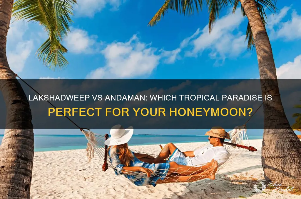 which is better for honeymoon lakshadweep or andaman