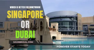 Honeymoon Paradise: Singapore vs. Dubai - Which Tropical Getaway Reigns Supreme?