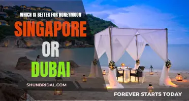 Honeymoon Haven: Singapore or Dubai?