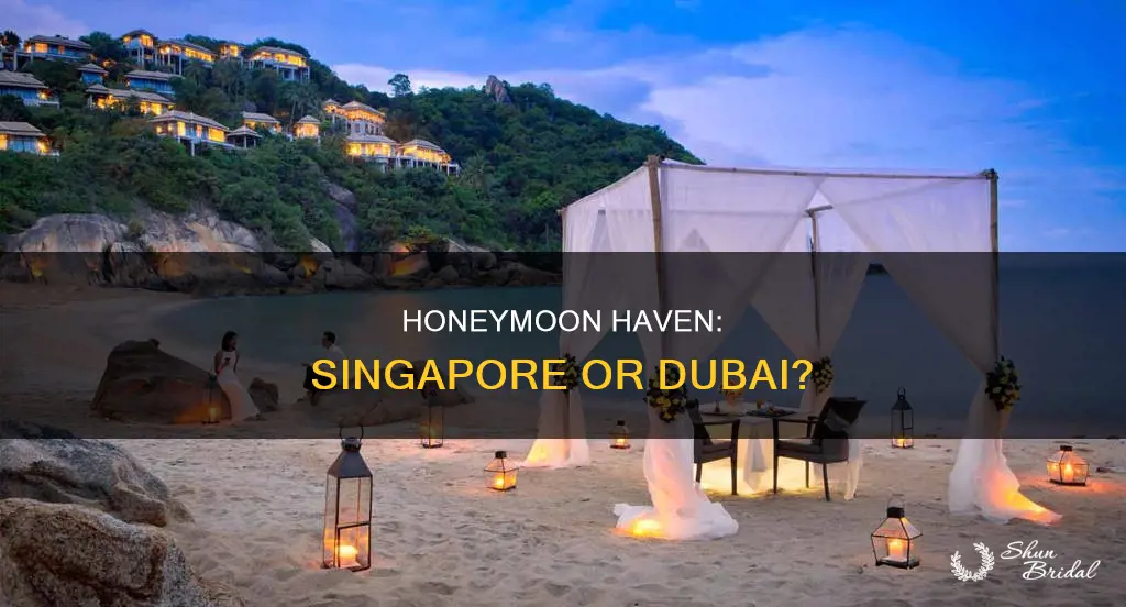 which is better for honeymoon singapore or dubai