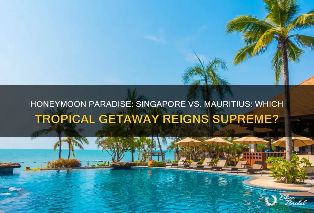 which is better place for honeymoon singapore or mauritius