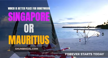 Honeymoon Destinations: Singapore vs. Mauritius