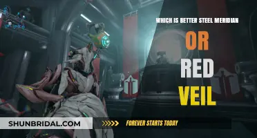 Steel Meridian vs. Red Veil: Which Syndicate Reigns Supreme?
