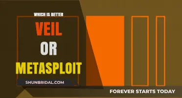 Veil vs. Metasploit: Comparing Penetration Testing Frameworks for Ethical Hacking