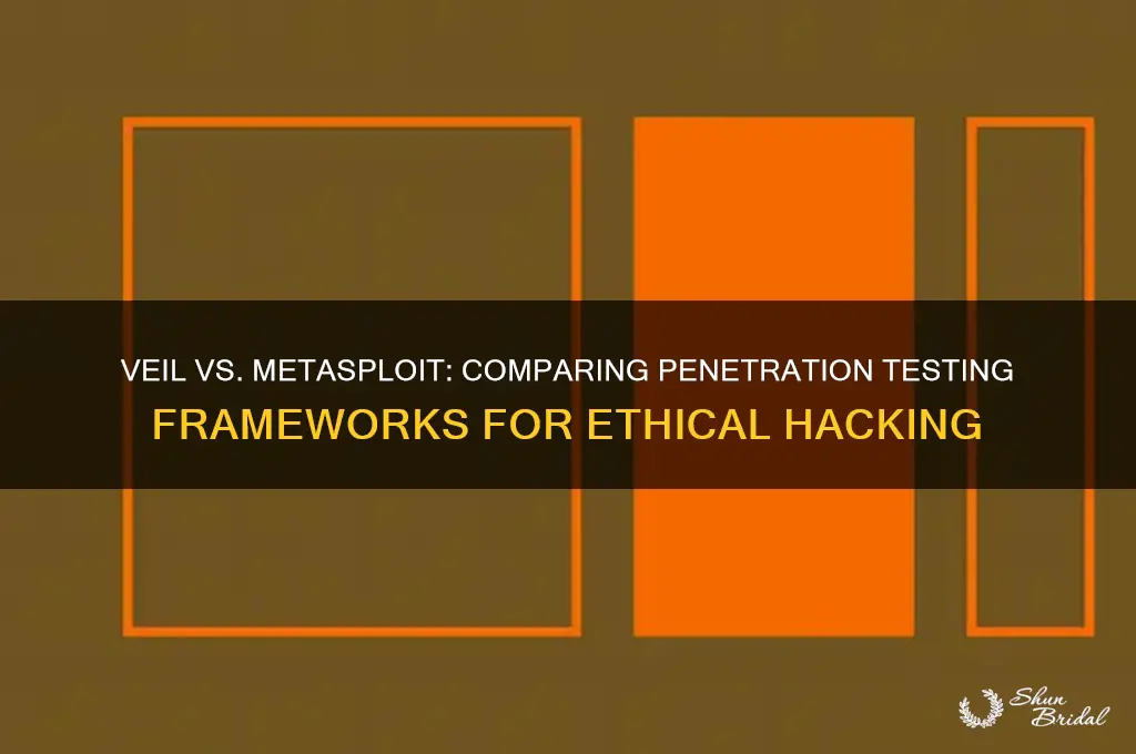 which is better veil or metasploit