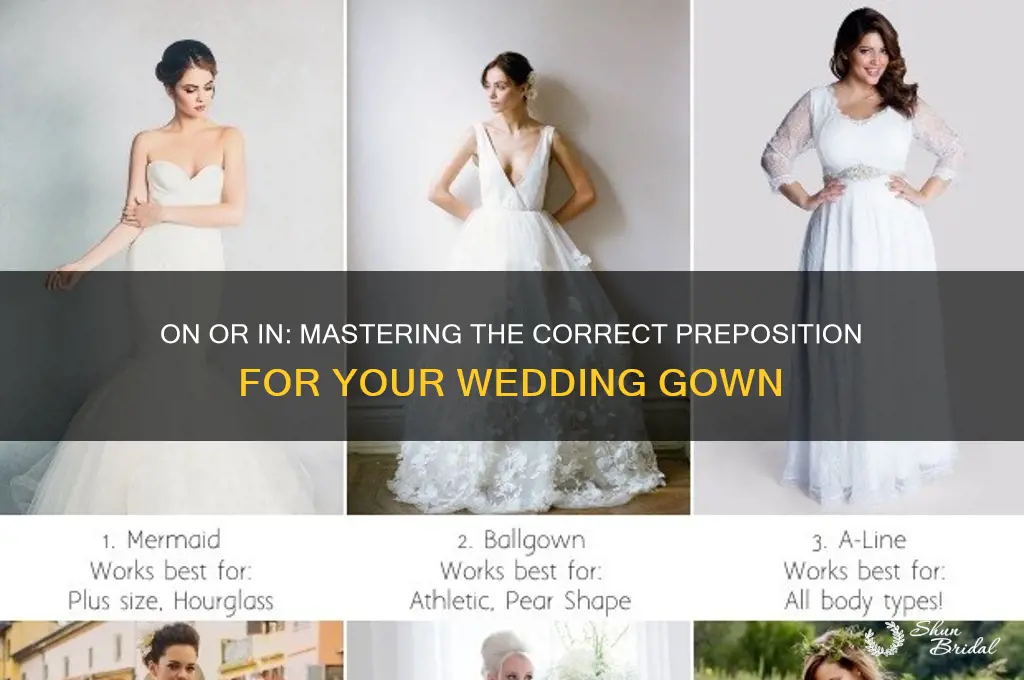 which is correct on wedding gown or in wedding gown