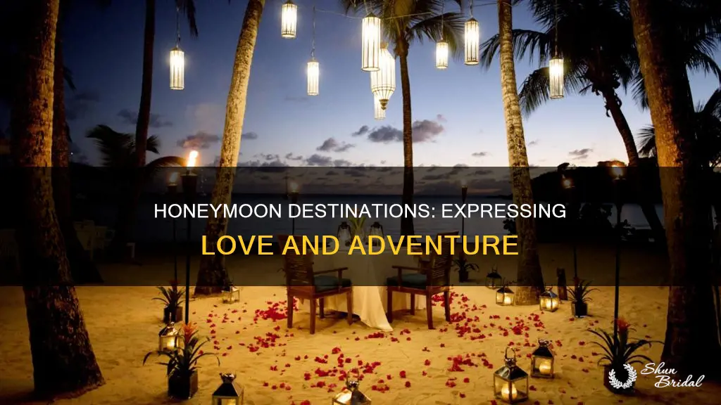 which is honeymoon express