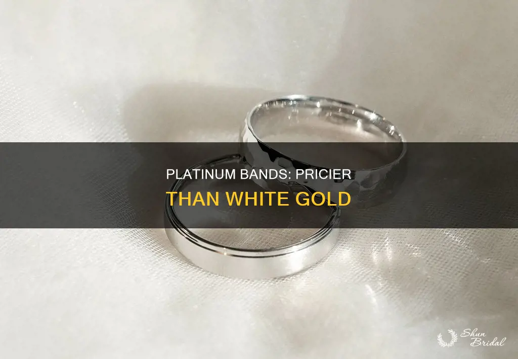 which is more expensive platum wedding bands or white gold