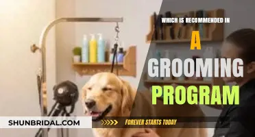 Essential Tips for a Successful Grooming Program