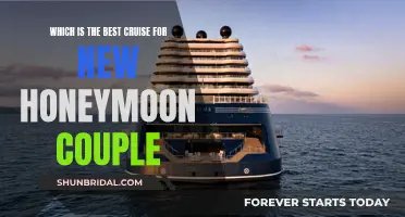 Honeymoon Bliss: Unveiling the Ultimate Cruise Adventure for New Couples