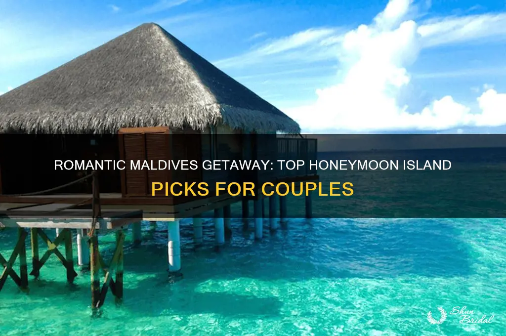 which is the best island in maldives for honeymoon