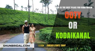 Ooty vs Kodaikanal: Which Hill Station is Perfect for Your Honeymoon?