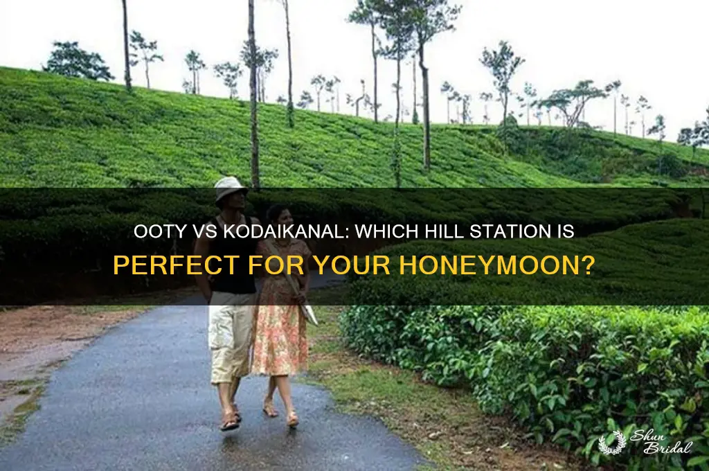 which is the best place for honeymoon ooty or kodaikanal