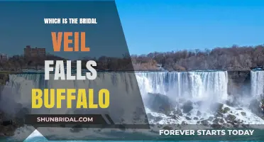 Discover Bridal Veil Falls: Buffalo's Hidden Gem and Natural Wonder