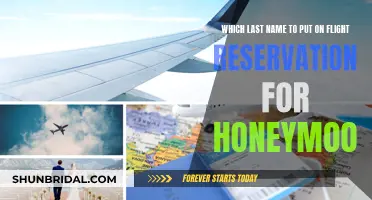 Honeymoon Flight Reservation: Choosing the Right Last Name for a Memorable Journey