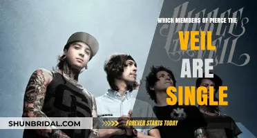 Pierce the Veil Relationship Status: Who's Single in the Band?