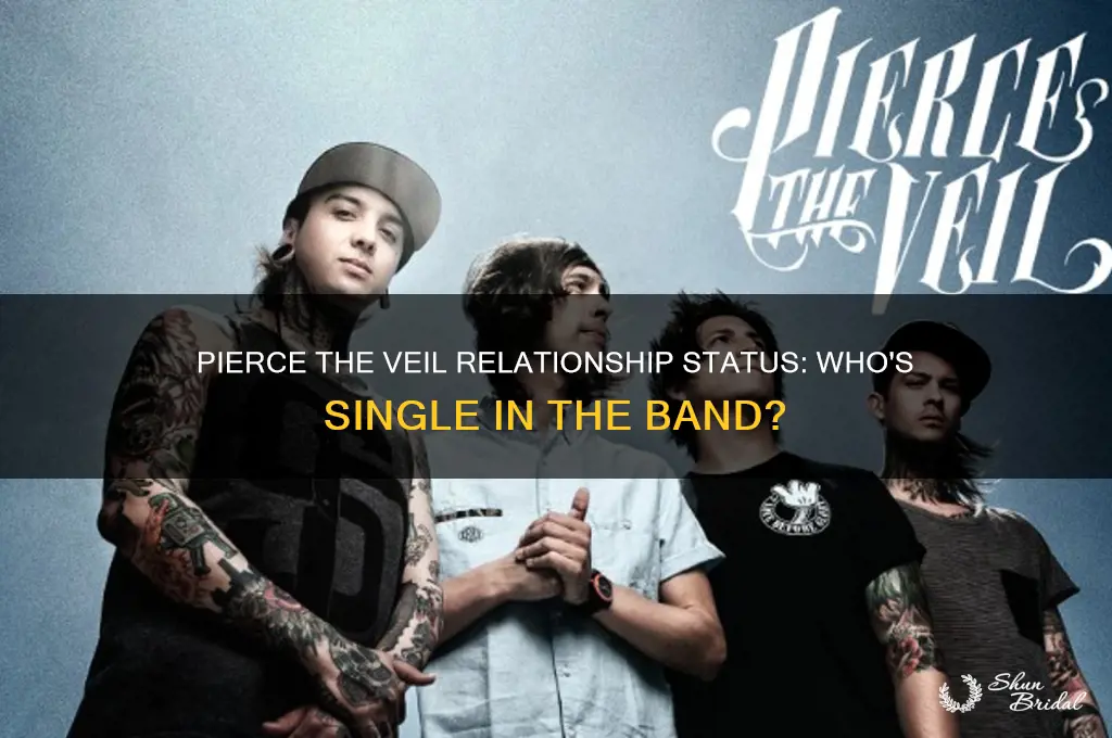 which members of pierce the veil are single