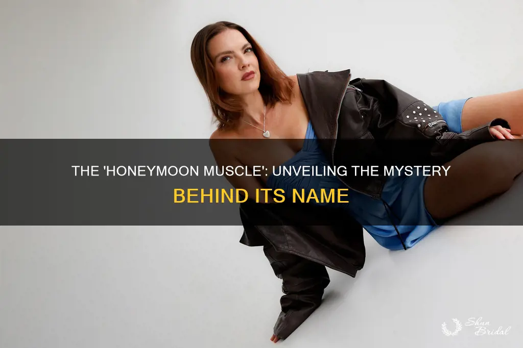 which muscle is known as honeymoon muscle