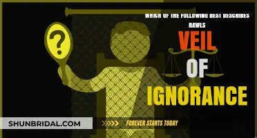Understanding Rawls' Veil of Ignorance: A Fairness Principle Explained