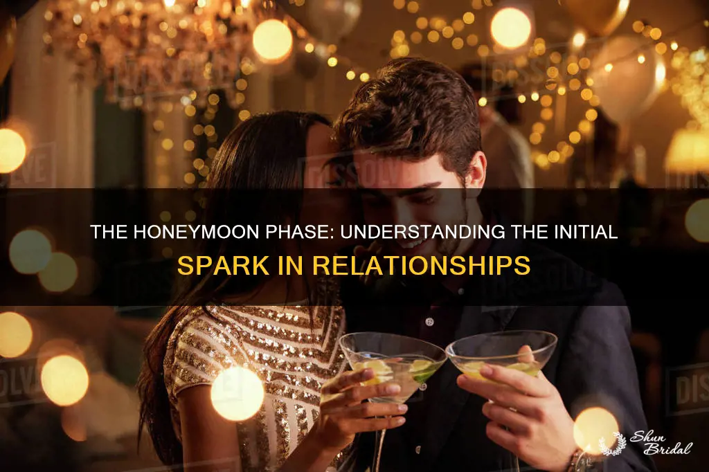 which of the following best describes the honeymoon period