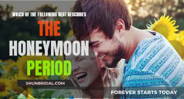 The Honeymoon Period: A Time of Bliss and Romance