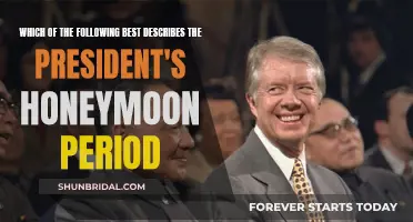 Understanding the President's Honeymoon Period