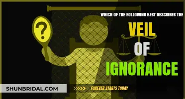 Understanding the Veil of Ignorance: A Fairness Principle Explained