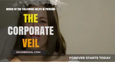 Understanding Factors That Pierce the Corporate Veil: Key Legal Insights