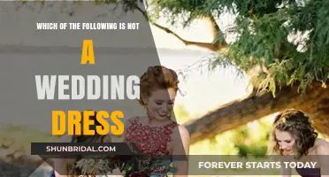 The Dress that Stood Out