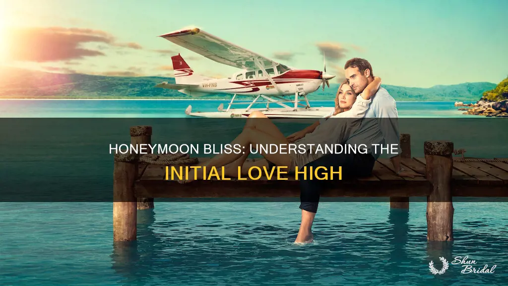 which of the following occurs in the honeymoon phase