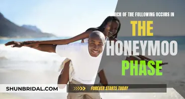 The Honeymoon Phase: What to Expect When It's Magic