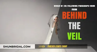 Behind the Veil: Unveiling the Power of a Single Paragraph