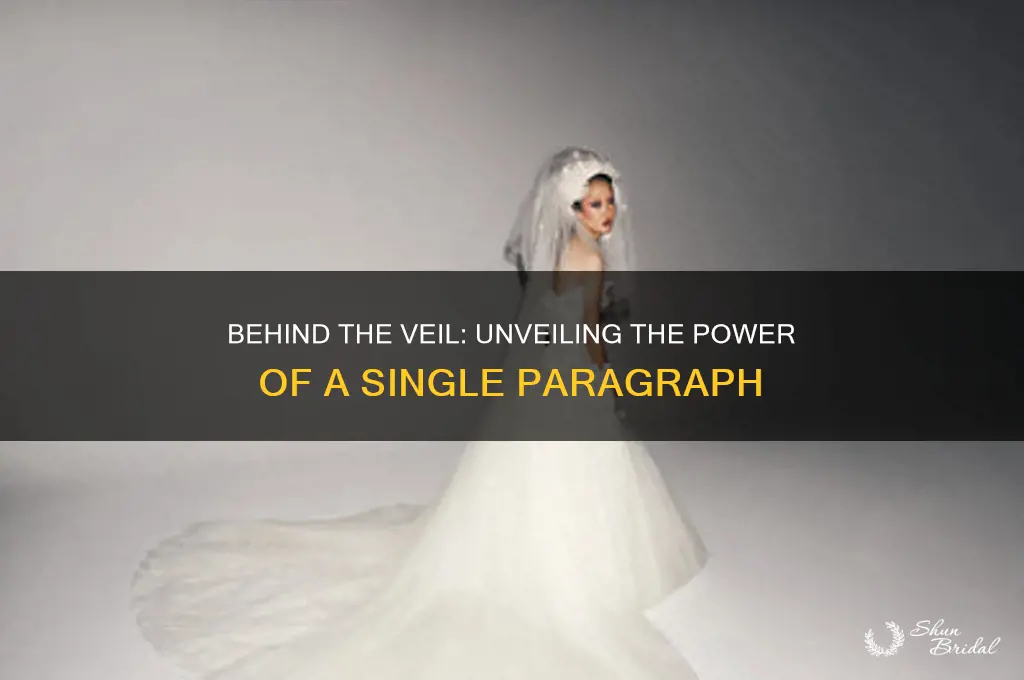 which of the following paragraph from from behind the veil