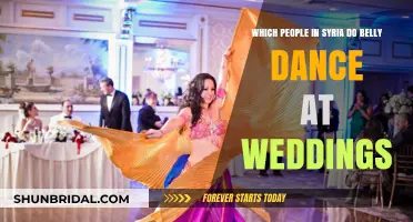Syrian Wedding Traditions: Who Performs Belly Dance at Celebrations?