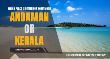 Andaman or Kerala: Which Paradise is Your Honeymoon Dream?