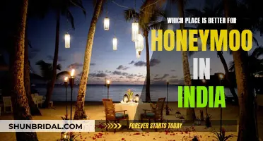 Honeymoon Destinations in India: Where's the Paradise?