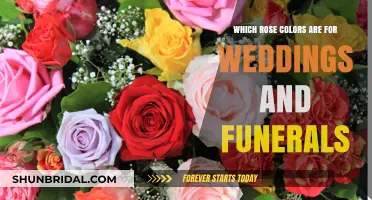 Rose Color Meanings: Perfect Choices for Weddings and Funerals