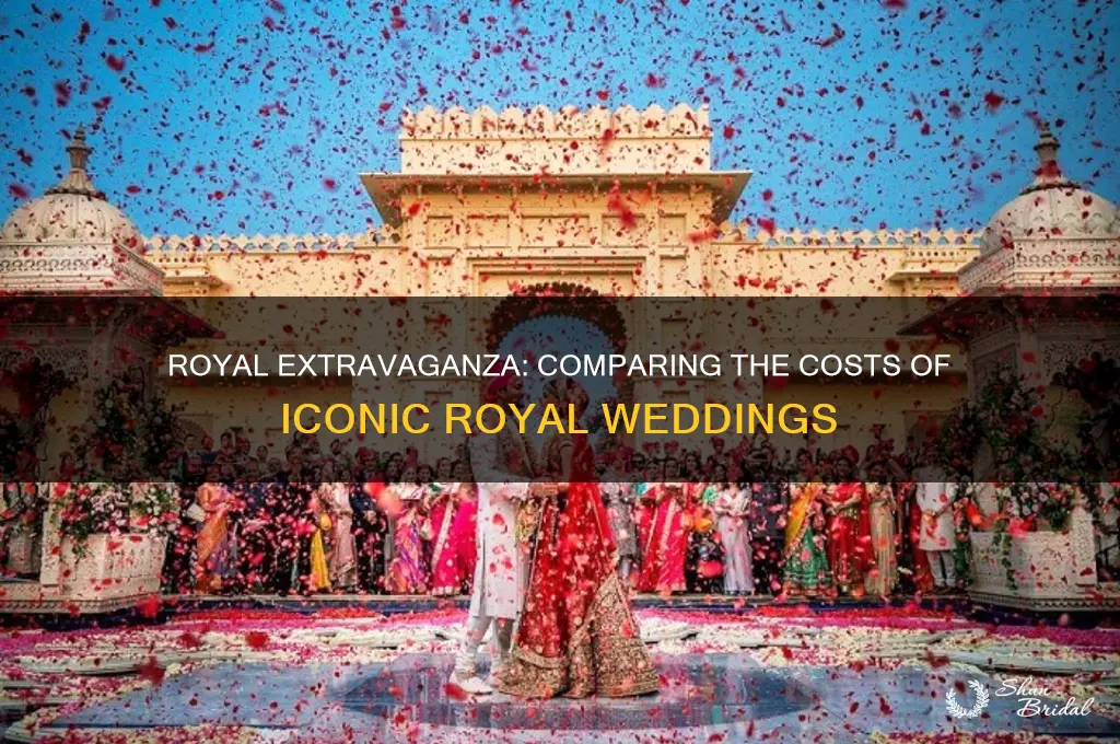which royal wedding was more expensive