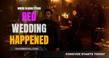 Red Wedding Episode: A Stark Tragedy