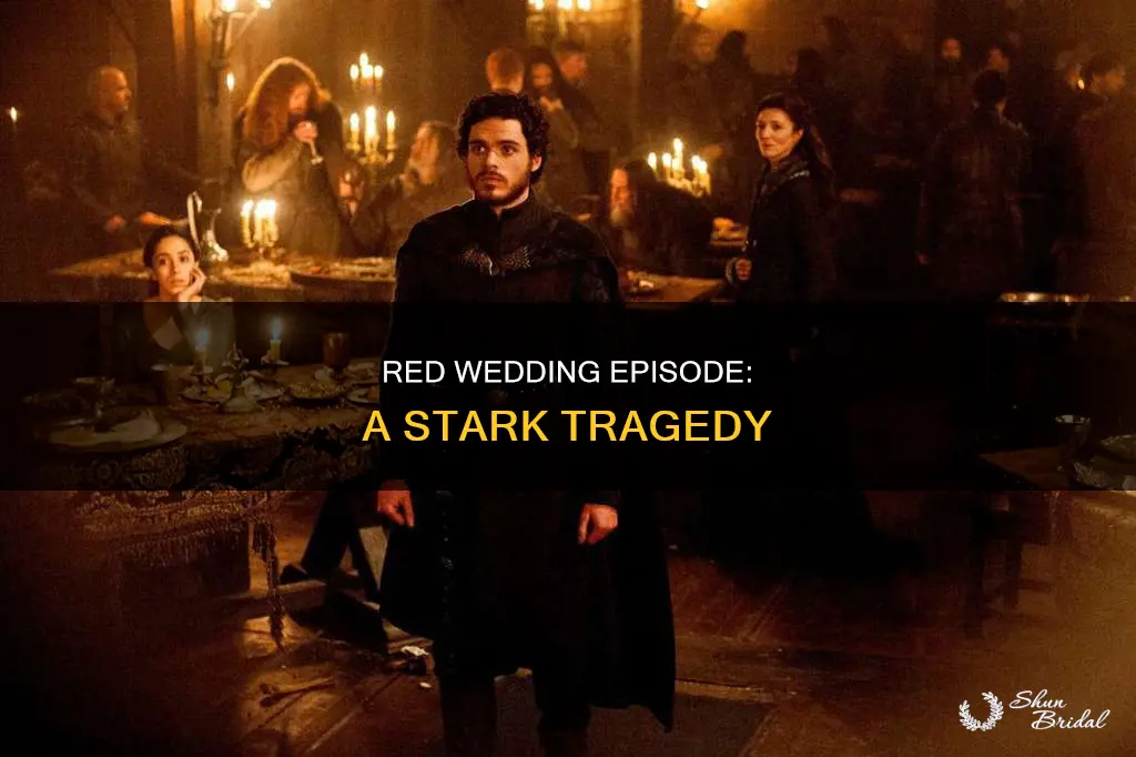 which season episod red wedding happened