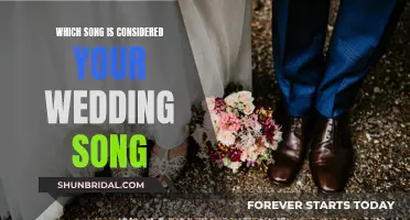 The Song That Defines Our Wedding Vows