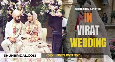 Virat and Bollywood: Wedding Song Revealed!