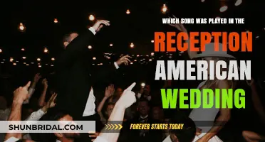 American Wedding: Reception Song Choice