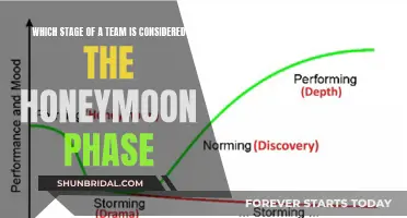 The Sweet Spot: When Teams Hit the Honeymoon Phase