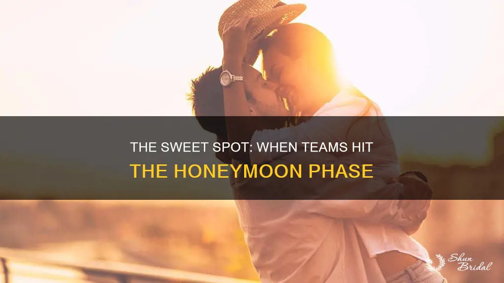 which stage of a team is considered the honeymoon phase