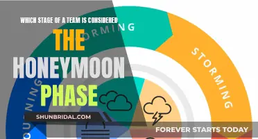 The Sweet Spot: Navigating the Honeymoon Stage of Teamwork