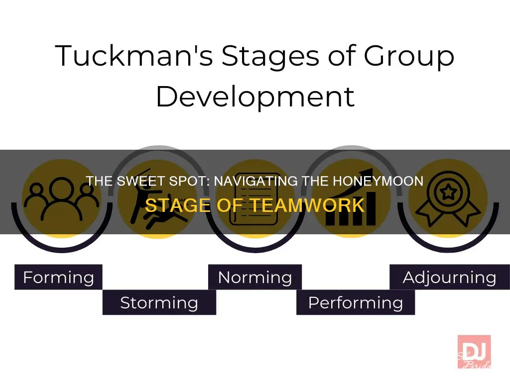 which stage of a team is considered the honeymoon phase