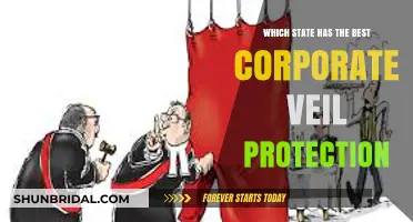 Top States for Strongest Corporate Veil Protection: A Legal Comparison